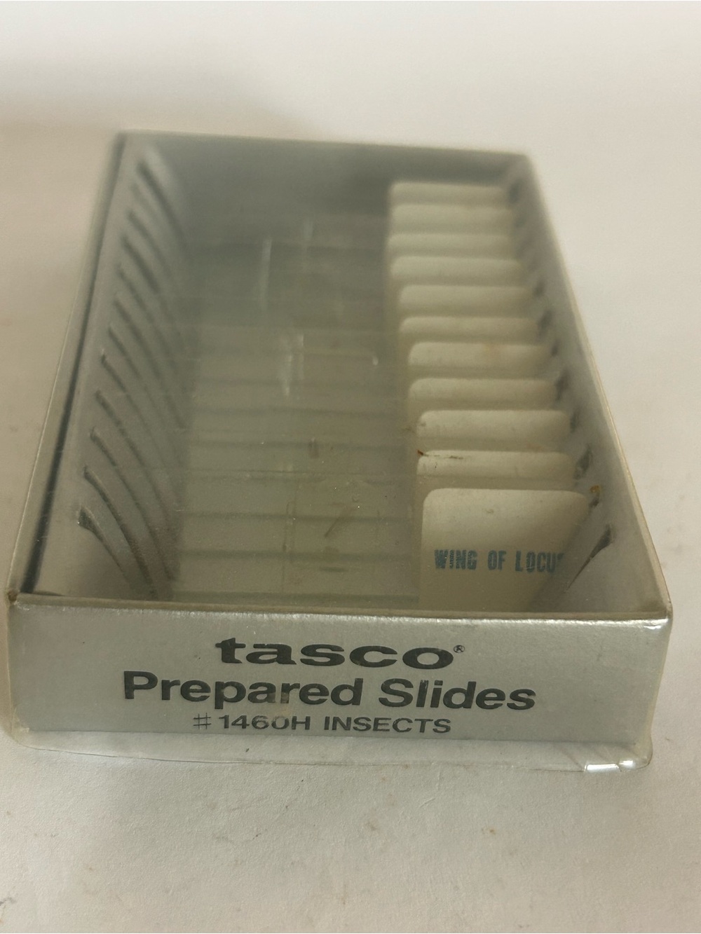 Vintage Tasco 11 Glass Microscope Slides #146OH Insects Bugs Japan‎ Science